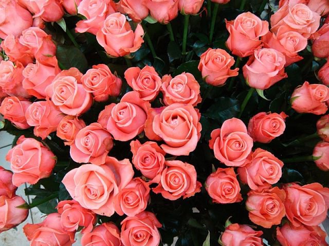 №316397 - оригинал