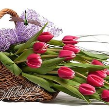 Схема вышивки «№316398»