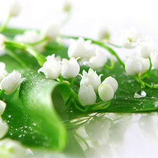 Схема вышивки «№316404»