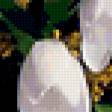 Предпросмотр схемы вышивки «№316419»