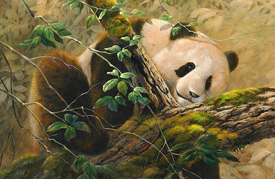 №316563 - оригинал