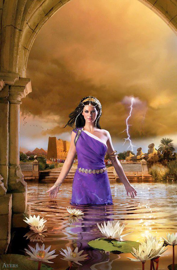 №316674 - оригинал