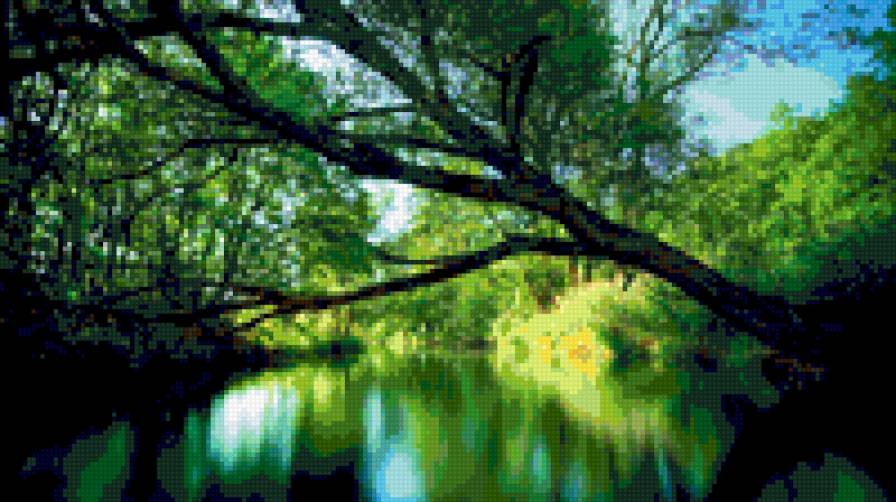 природа - деревья, природа, река, вода - предпросмотр