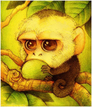 Обезьянка - животные, обезьяна, звери, милашка - оригинал