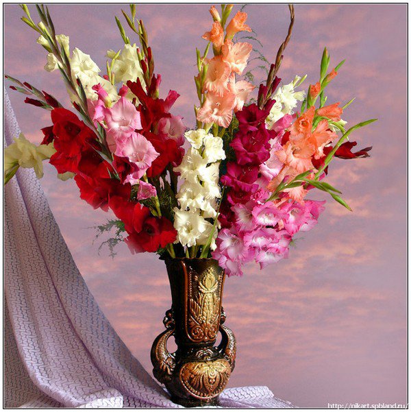 №316777 - оригинал