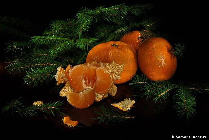 №316908 - оригинал