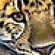 Предпросмотр схемы вышивки «леопард» (№317009)
