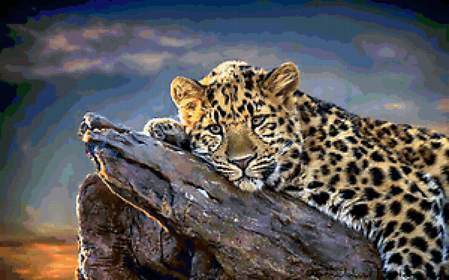 леопард - животные, природа - предпросмотр