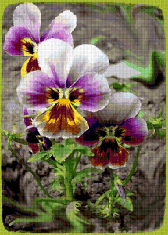 00123415 - предпросмотр