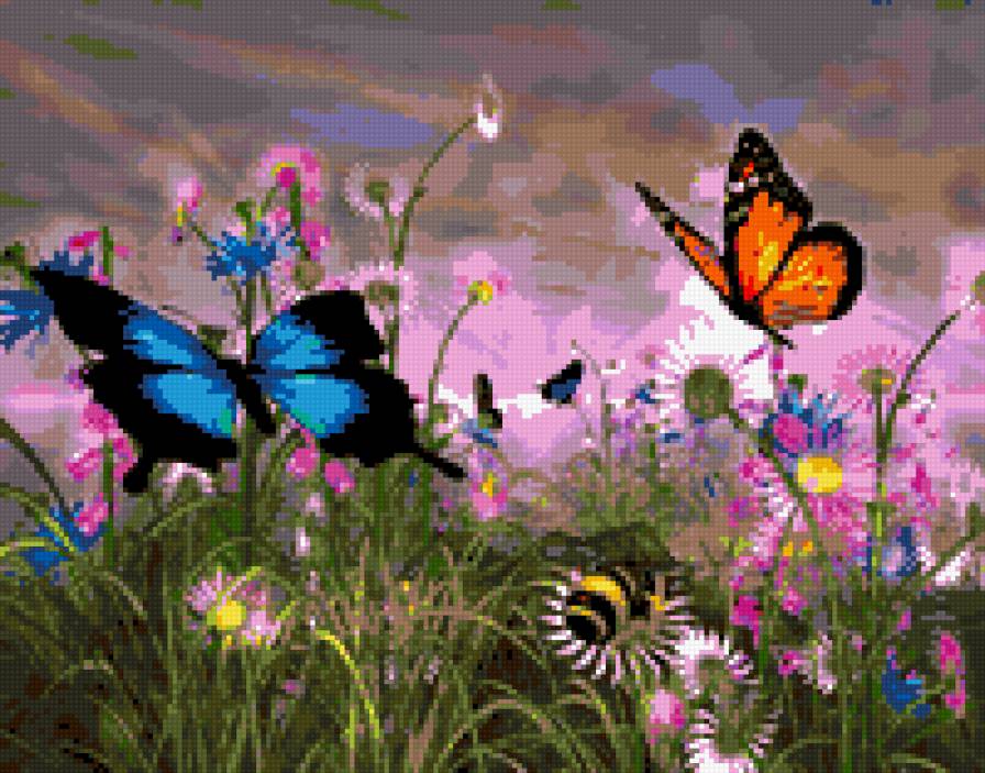 Бабочки - природа, бабочки - предпросмотр