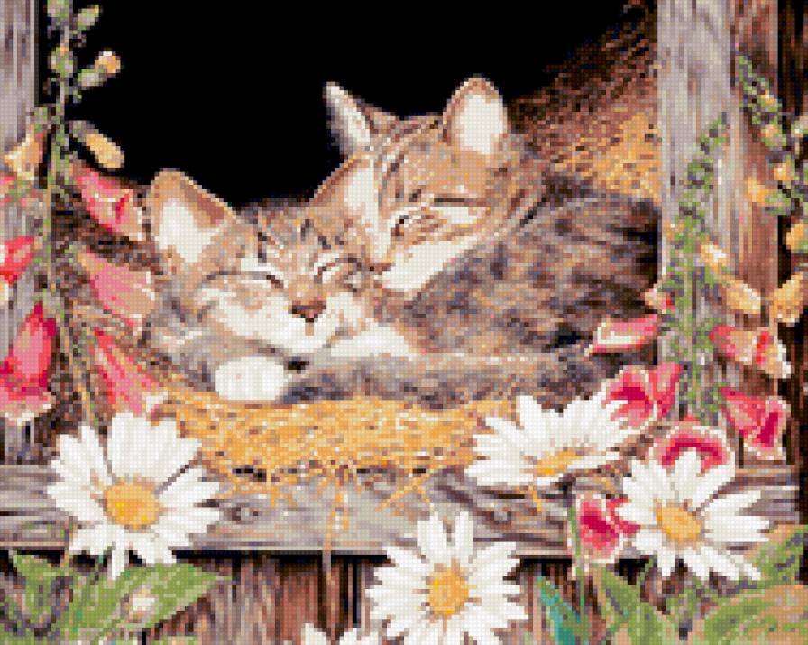сладкий сон - кошки, цветы - предпросмотр
