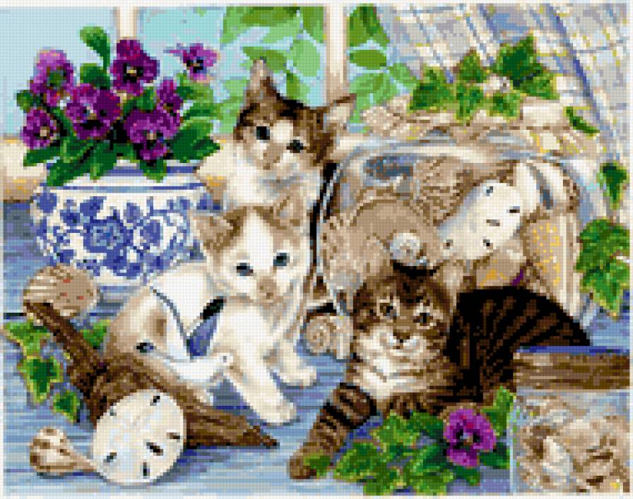 морские котики - цветы, кошки - предпросмотр