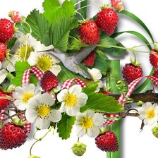 Схема вышивки «земляника»