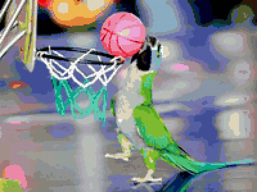 попугай и баскет - предпросмотр