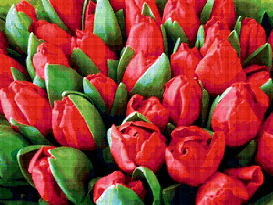 №317747 - тюльпаны, цветы, букет, картина, красный - предпросмотр