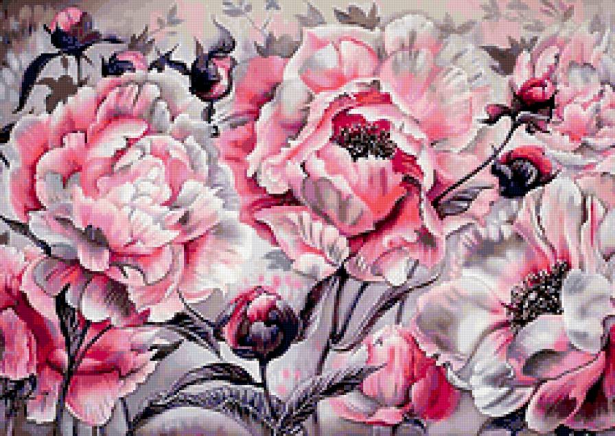 Пионы - пионы, цветы - предпросмотр