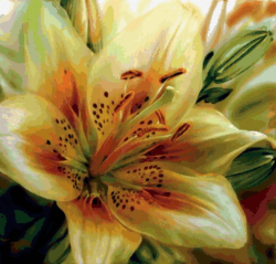 лилия - цветок, природа, цветы - предпросмотр