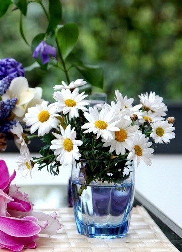 Ромашки - цветы, ромашки, ваза - оригинал