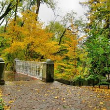 Схема вышивки «в парке»