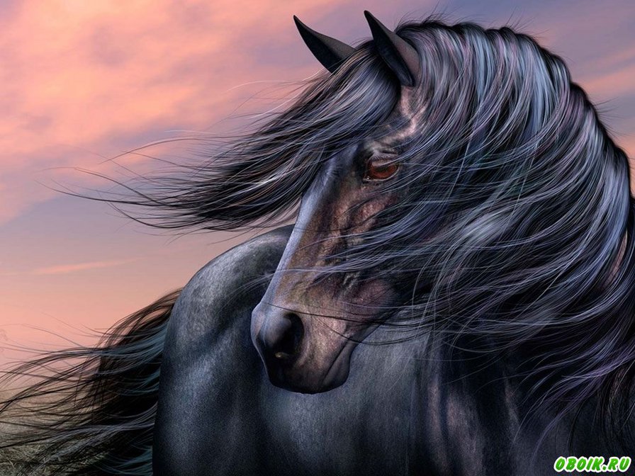 в мире животных - лошади, животные - оригинал