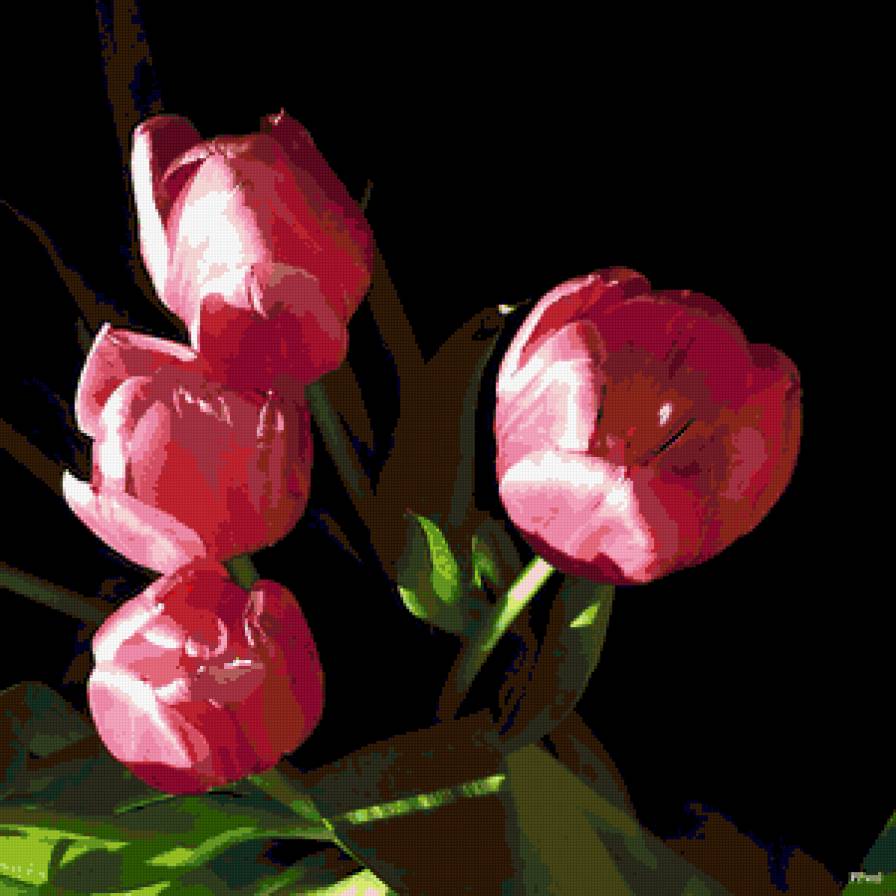 тюльпаны - цветы, тюльпаны, букет - предпросмотр