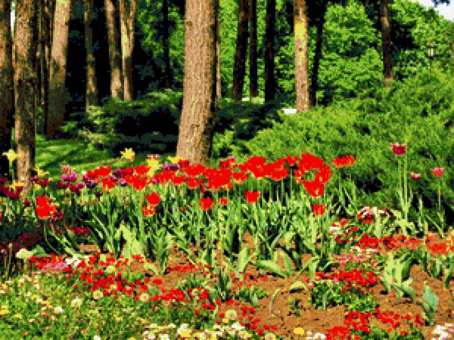 №317899 - деревья, природа, цветы, весна - предпросмотр