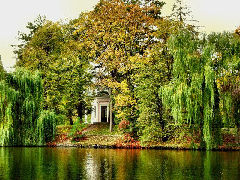 №317952 - природа, парки, пейзаж, пруд, осень - оригинал