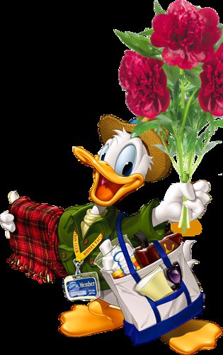 Приветик - красота, пернатые - оригинал