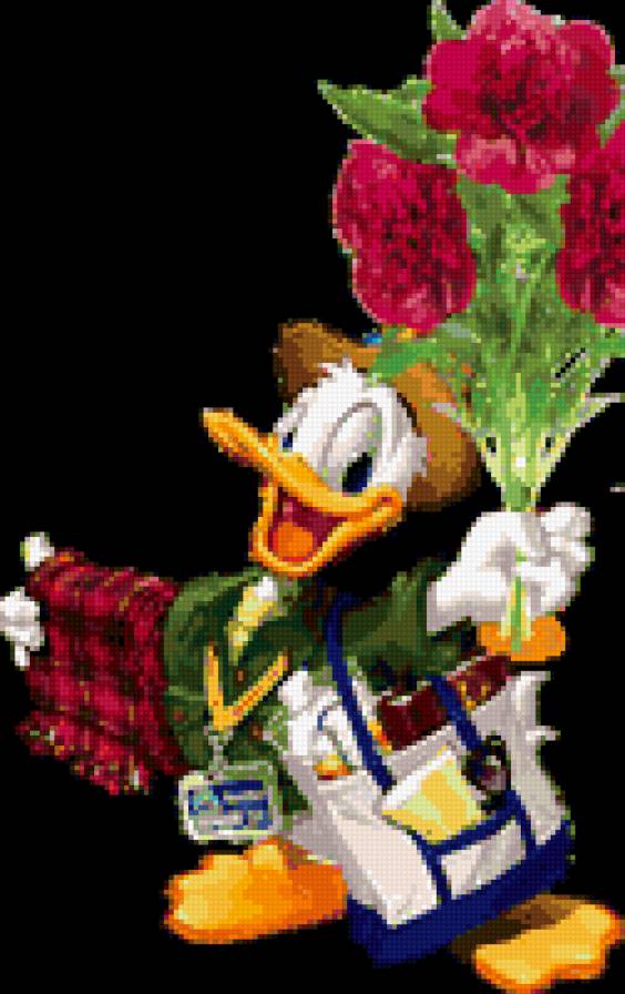 Приветик - красота, пернатые - предпросмотр