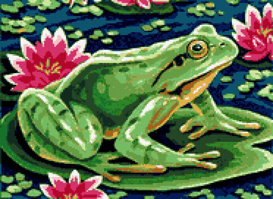 Лягушка в кувшинках - предпросмотр