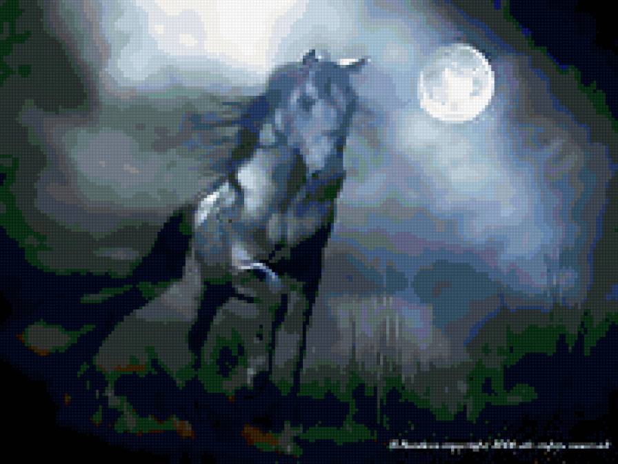 ночной туман - туман. ночь. лошадь. природные явления - предпросмотр