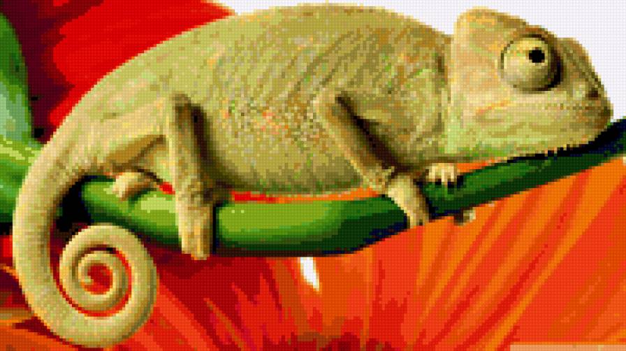 хамелеон - животные, рептилии - предпросмотр