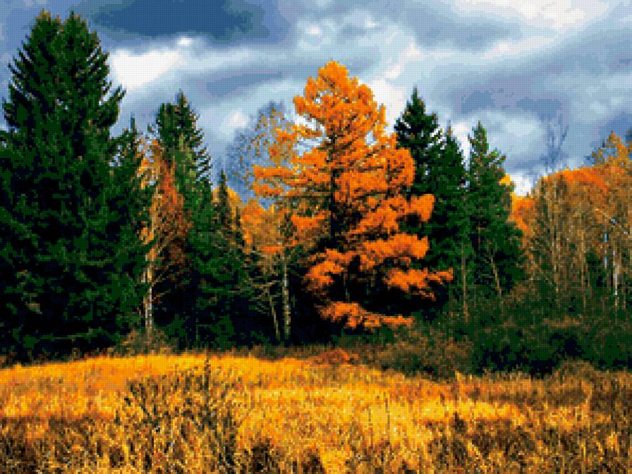 Осень - осень, природа, лес - предпросмотр