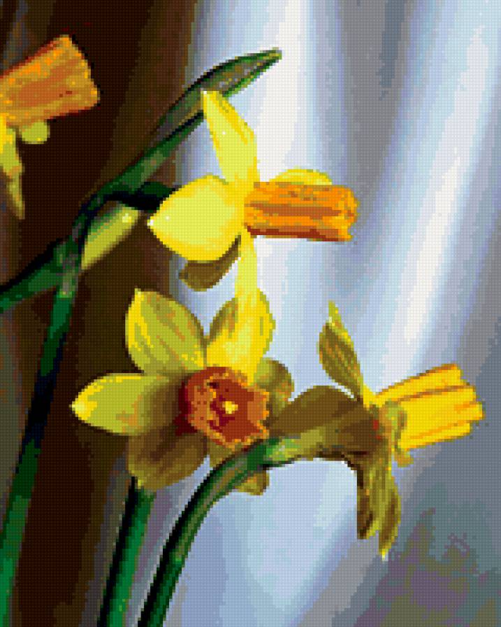 нарциссы - нарциссы, цветы - предпросмотр