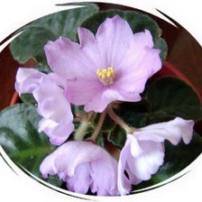 Схема вышивки «№318348»