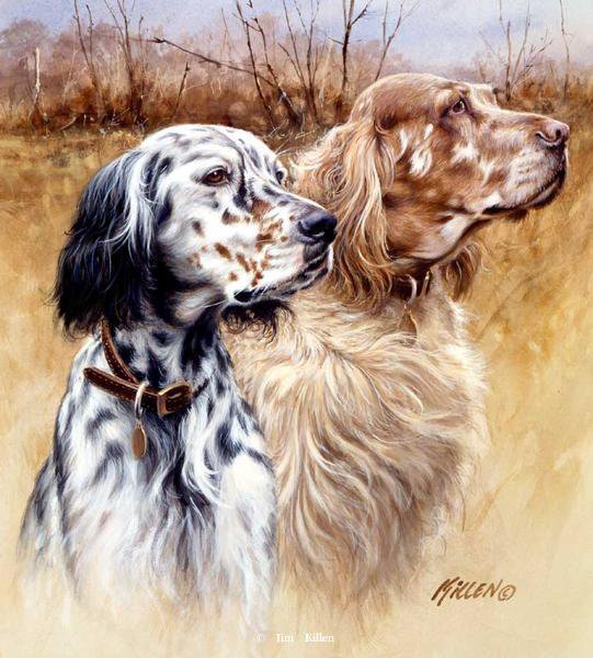 №318499 - оригинал