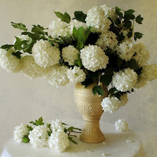 Схема вышивки «цветы»