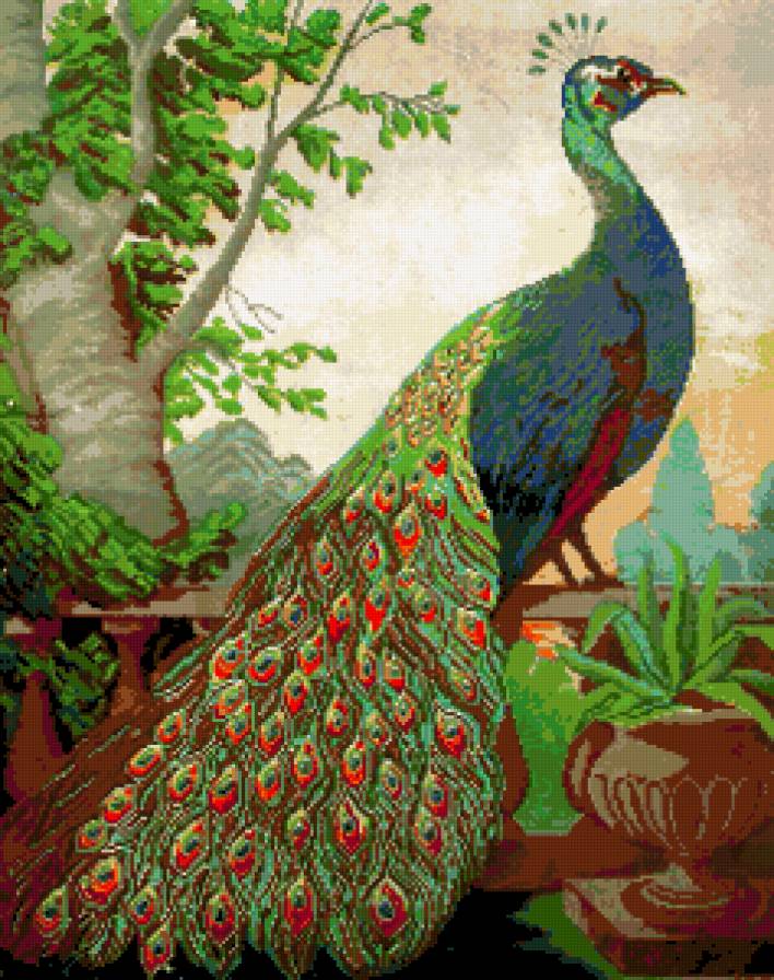 Со старой картины-павлин - павлин - предпросмотр