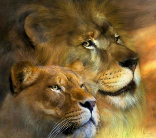 прайд - оригинал