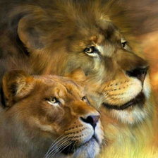 Схема вышивки «прайд»