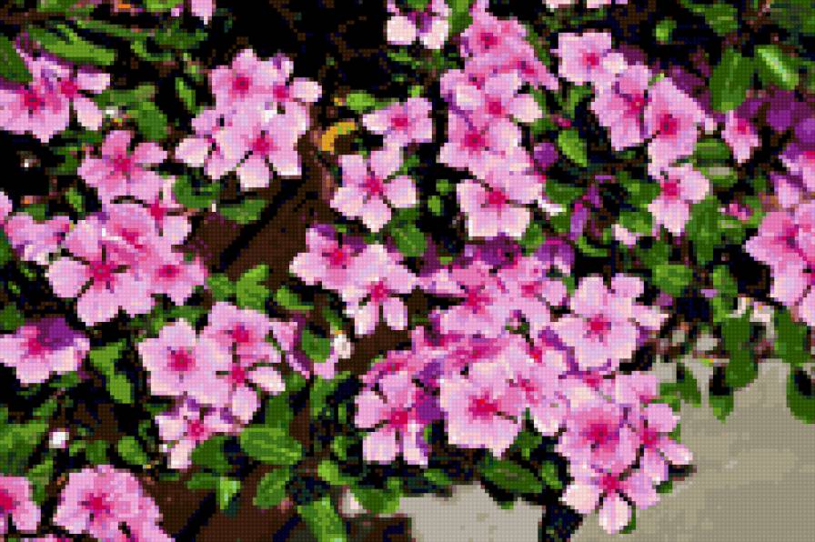 №318730 - цветы - предпросмотр