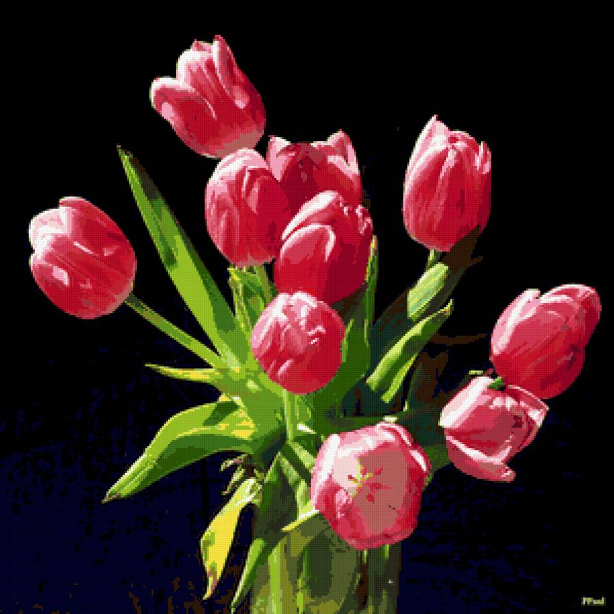 тюльпаны - цветы, на черном, букет, тюльпаны - предпросмотр