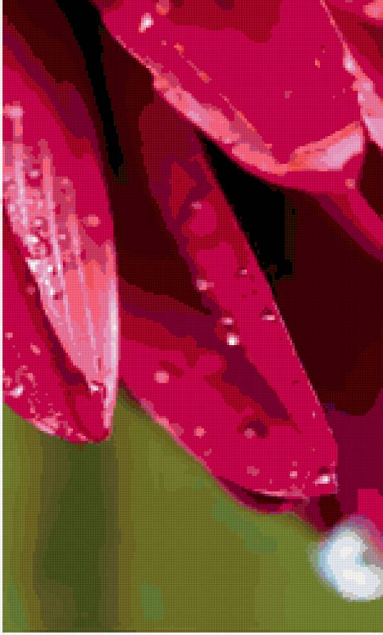 Сиреневые лепестки часть2 - триптих, цветы - предпросмотр