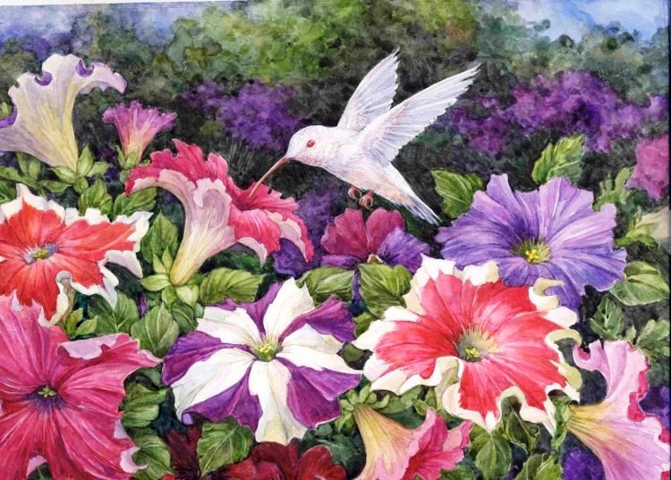 Колибри и петуния - цветы, колибри, птицы, природа, райские птички, петуния - оригинал
