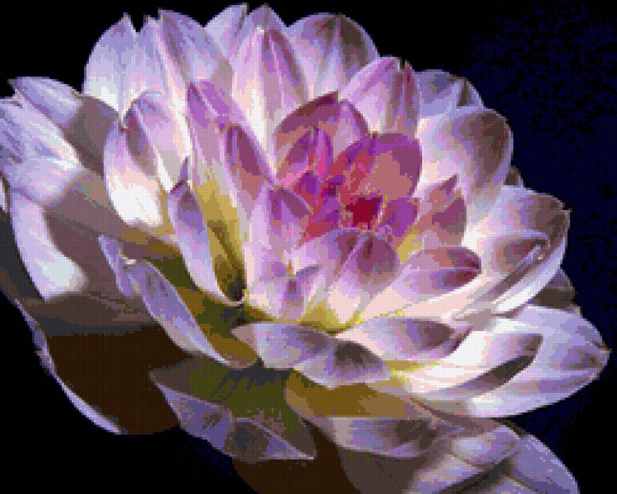 №318796 - цветы, цветок - предпросмотр