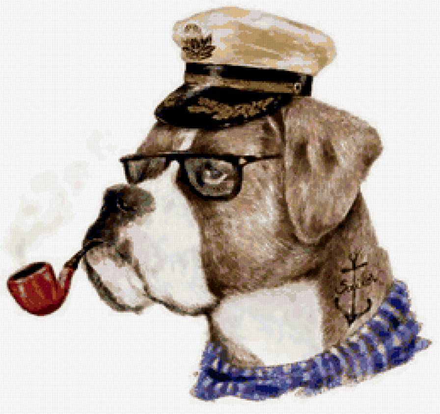 пес - животные, трубка, моряк, собака - предпросмотр
