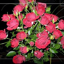 Схема вышивки «розы»