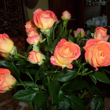 Схема вышивки «розы»