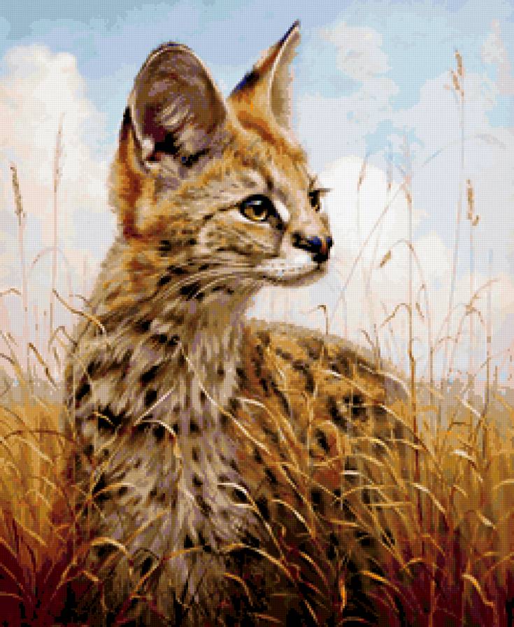 манул - леопард, природа, африка, кошка, животные - предпросмотр