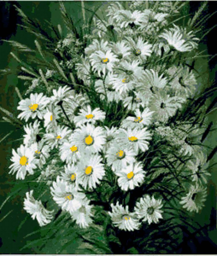 ромашки - цветы - предпросмотр